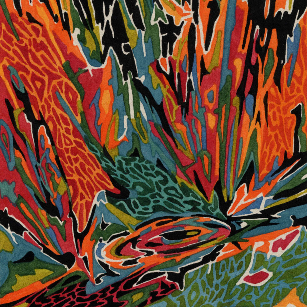 Terra Incognita [LP]