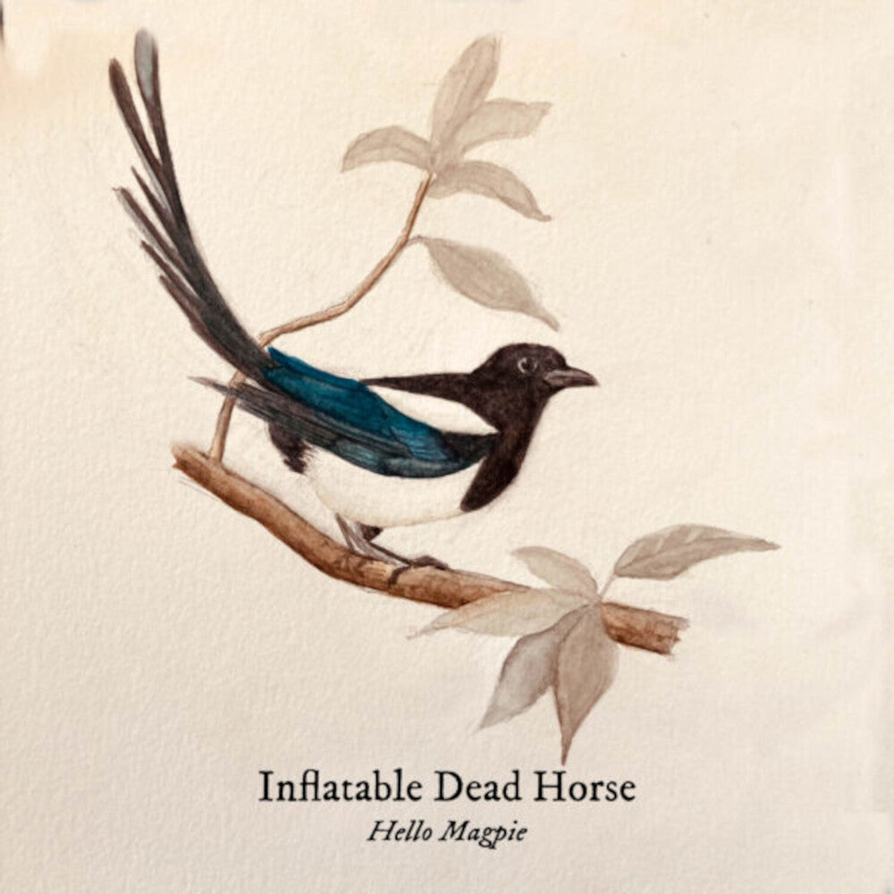 Hello Magpie [LP]
