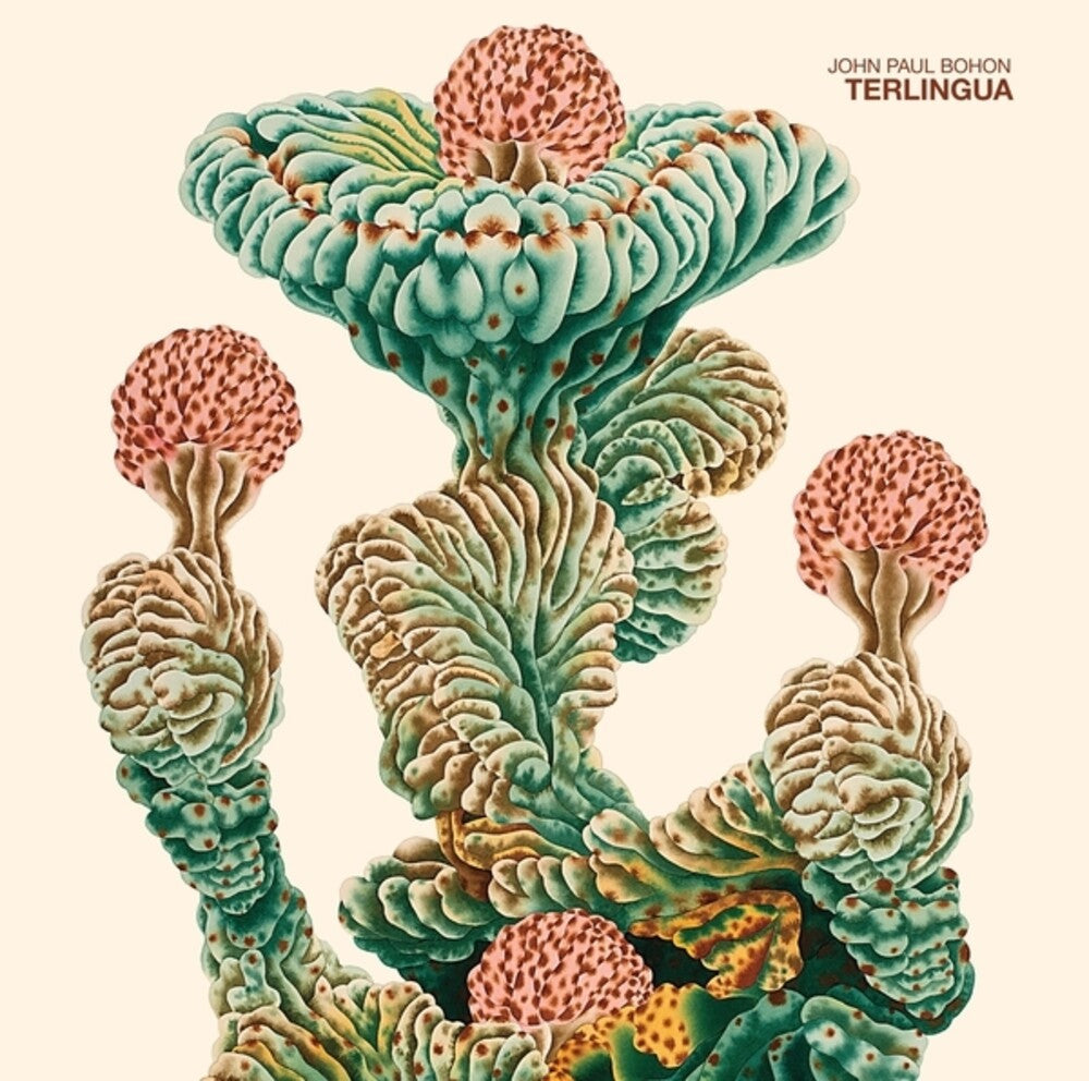 Terlingua [LP]