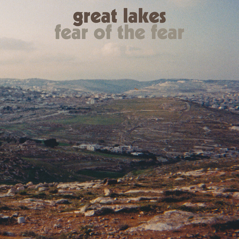 Fear of the Fear [LP]