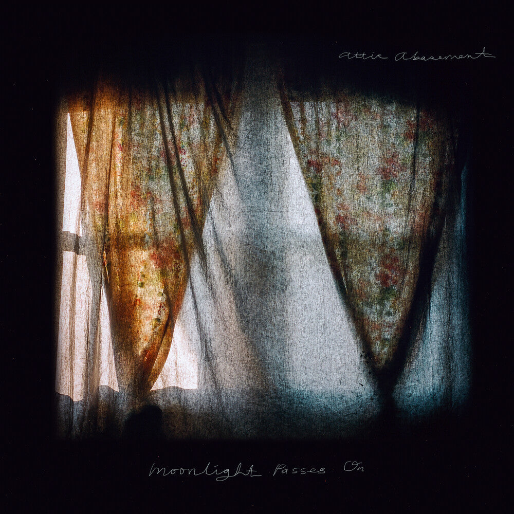 Moonlight Passes On [LP]
