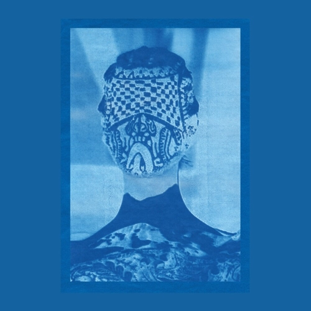 She Came Through The Window To Stand By The Door [LP]