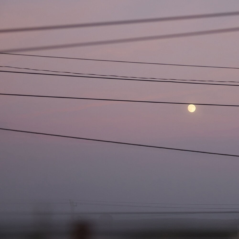 Pre-Order: Long Slow Distance [LP]