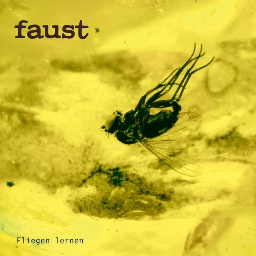 Pre-Order: Fliegen Lernen [LP]