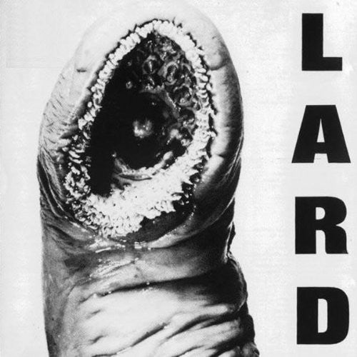 Power of Lard [12" Vinyl]