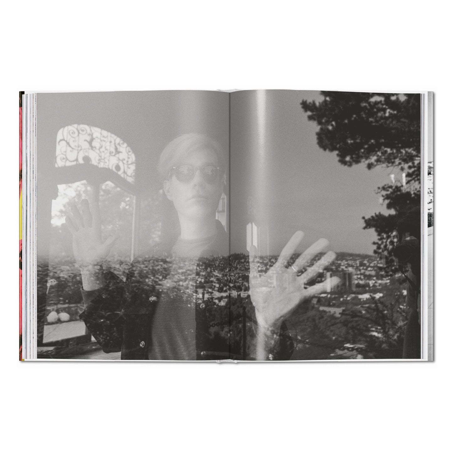 Steve Schapiro. Andy Warhol and Friends (English)