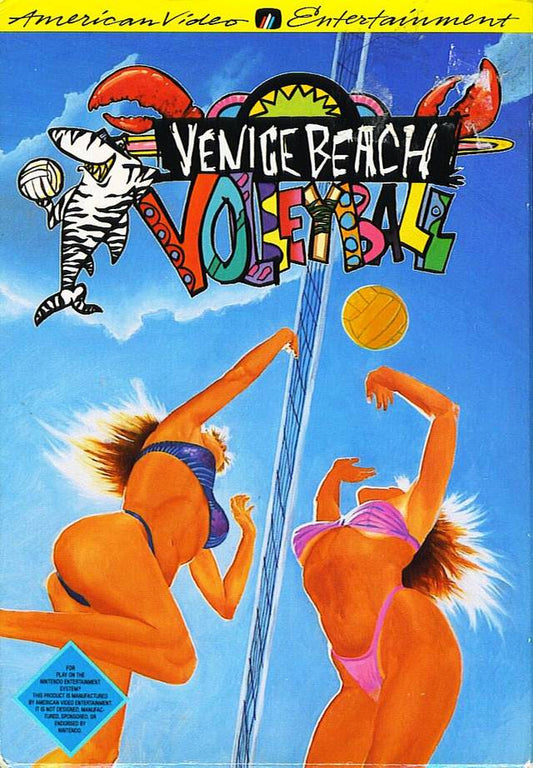 Venice Beach Volleyball (Nintendo NES)