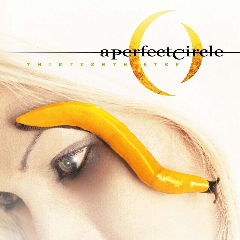 Thirteenth Step [Import LP]