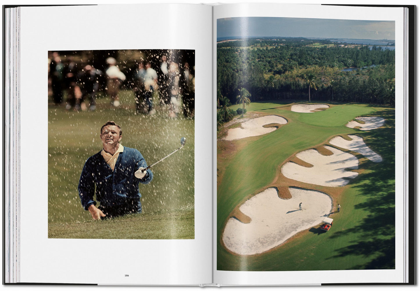 Marvin E. Newman. Photographs 1949–1983 (English)