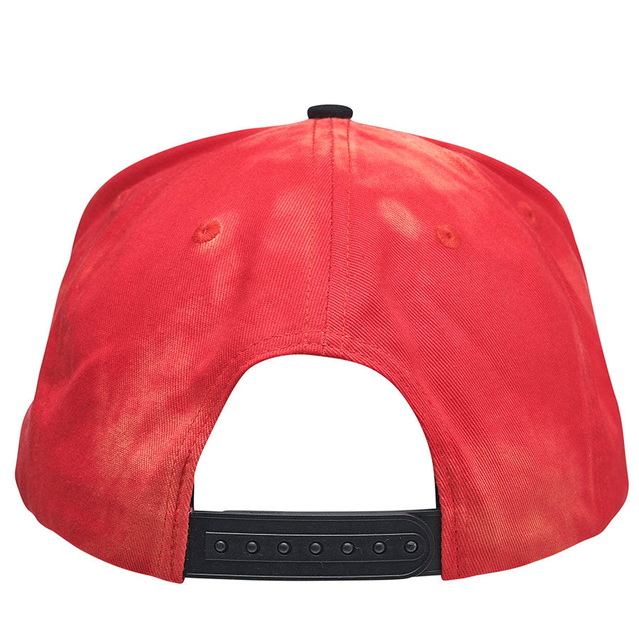 Santa Cruz Classic Dot Mid Profile Snapback Hat