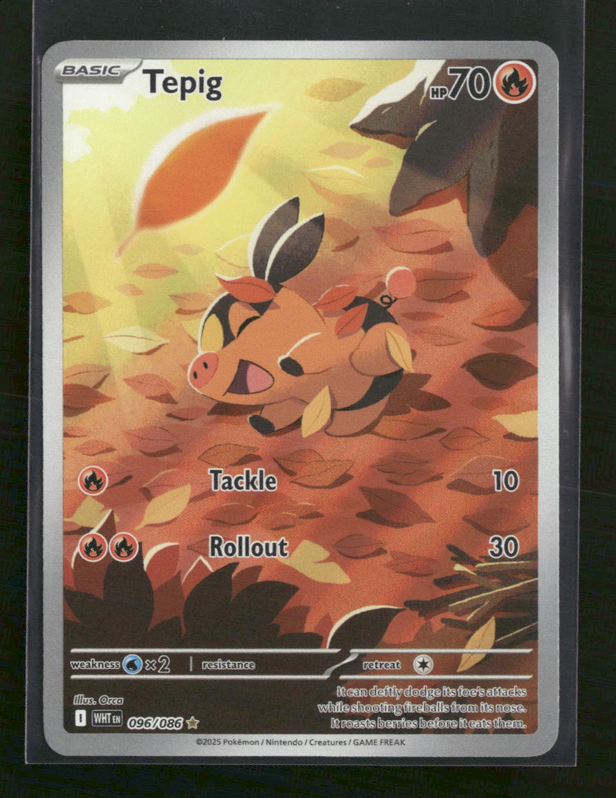 SV: White Flare Tepig #096/086 - Golden Apple Comics