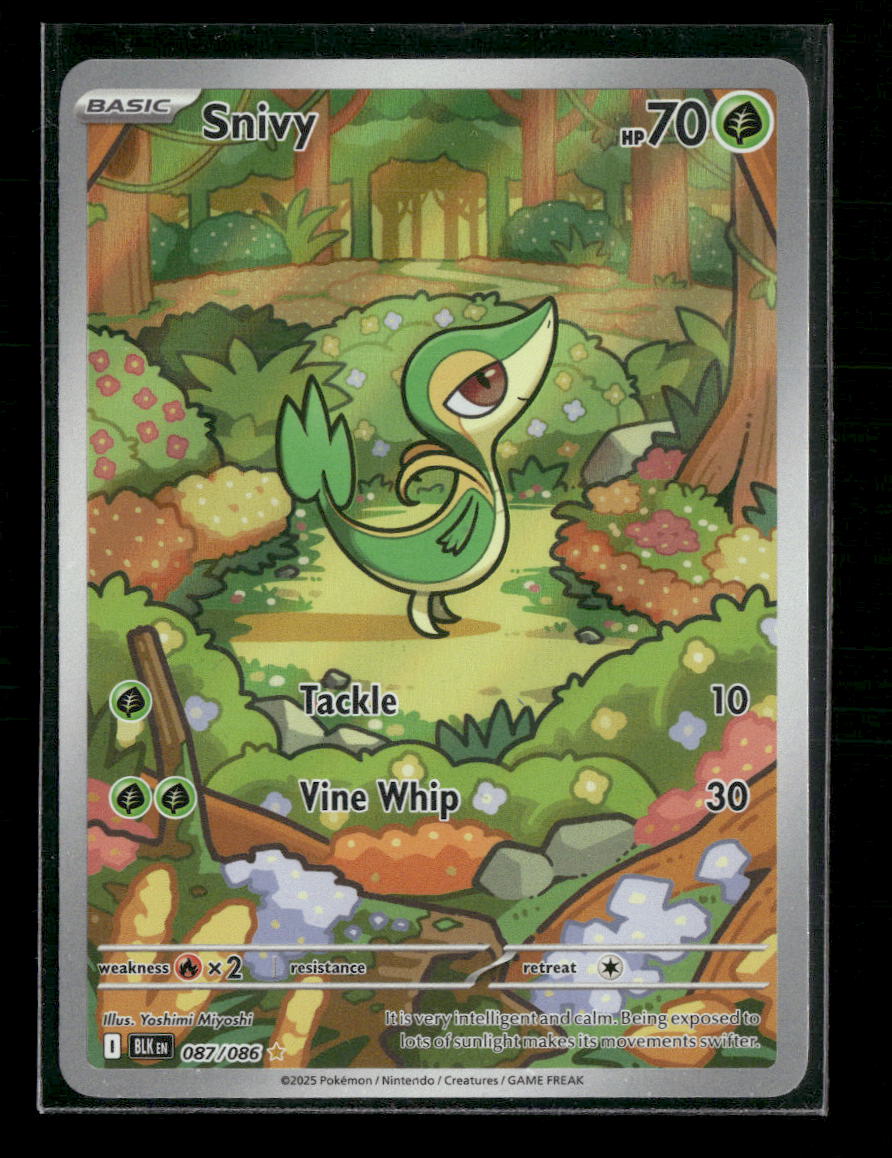 SV: Black Bolt Snivy #087/086 - Golden Apple Comics