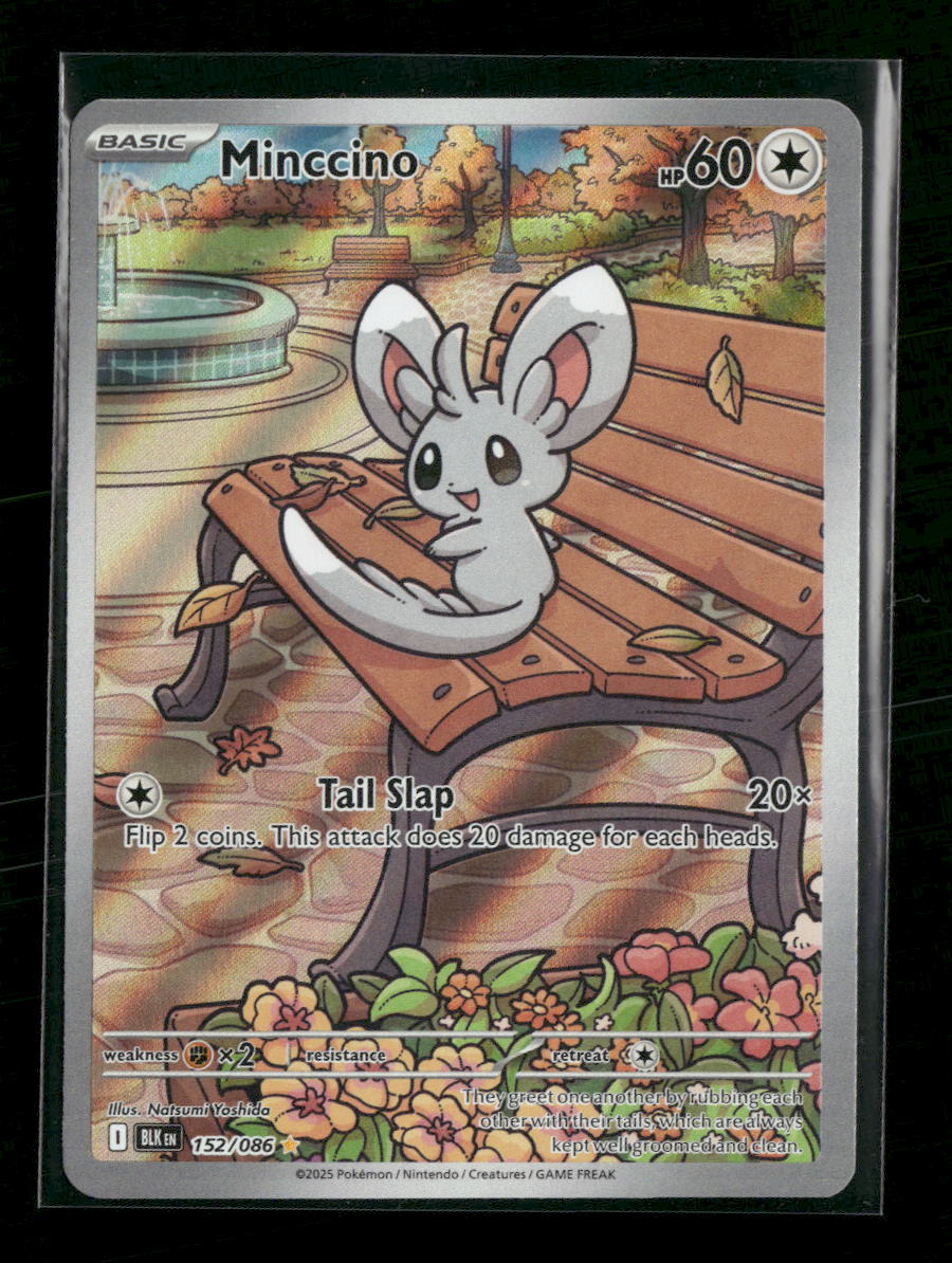 SV: Black Bolt Minccino #152/086 - Golden Apple Comics