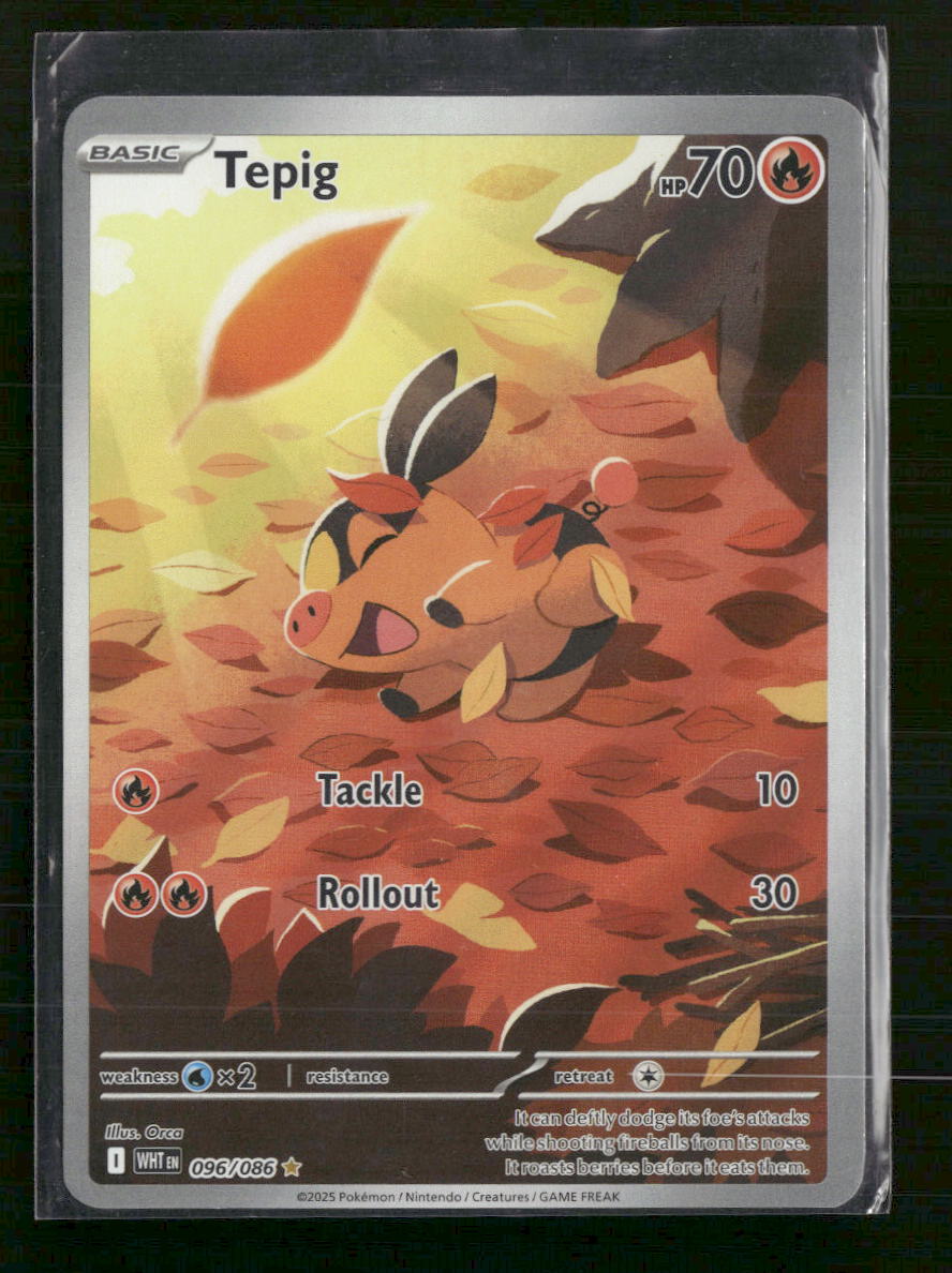 SV: White Flare Tepig #096/086 - Golden Apple Comics