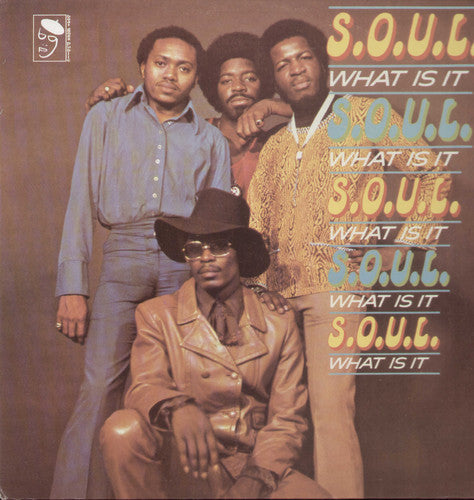 Soul What Is It [LP]