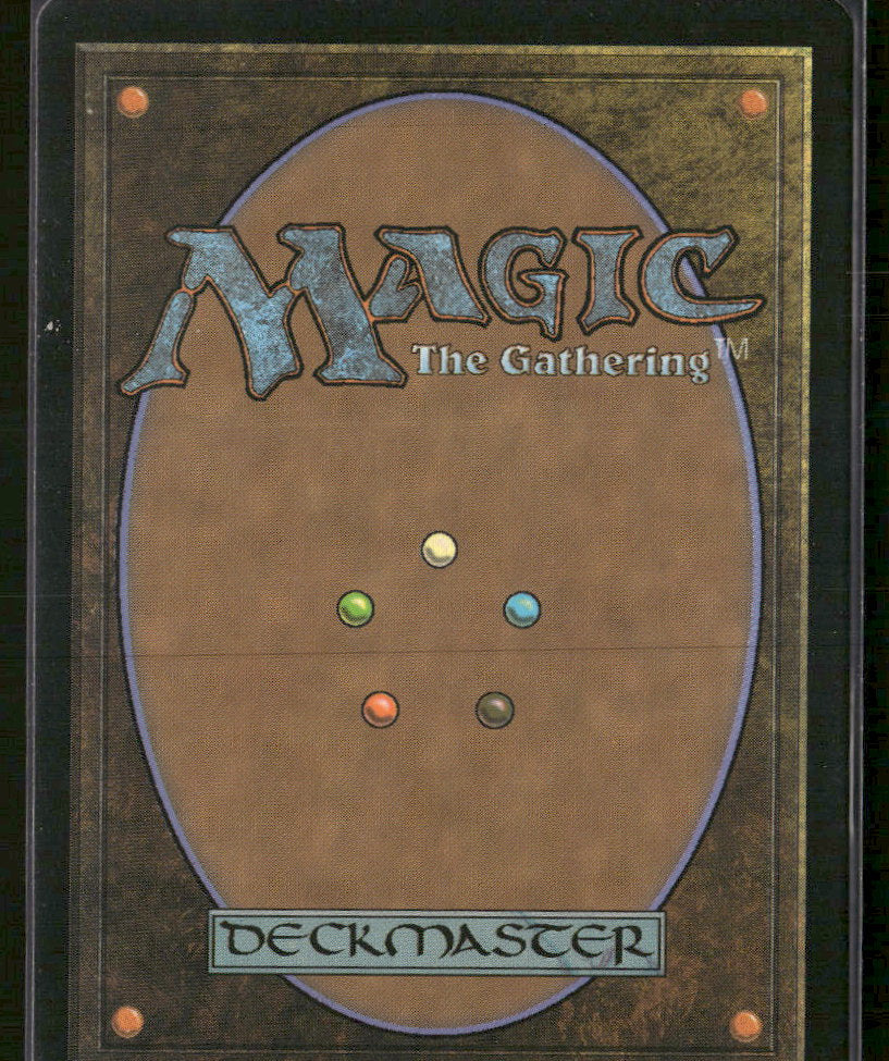 Modern Horizons 2 Misty Rainforest #250