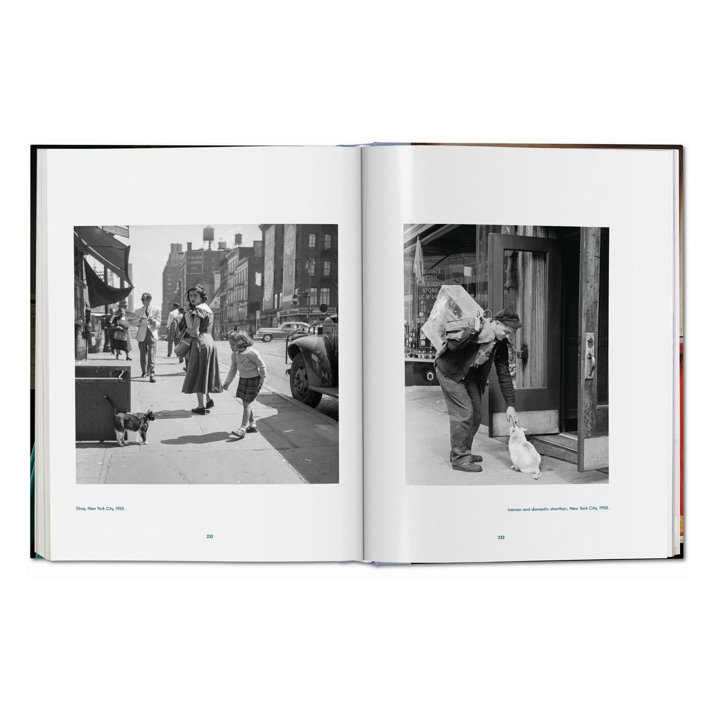 Walter Chandoha. Cats. Photographs 1942–2018 (German, French, English)