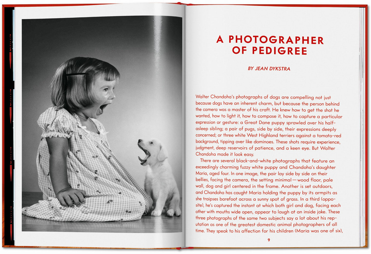 Walter Chandoha. Dogs. Photographs 1941–1991 (English)