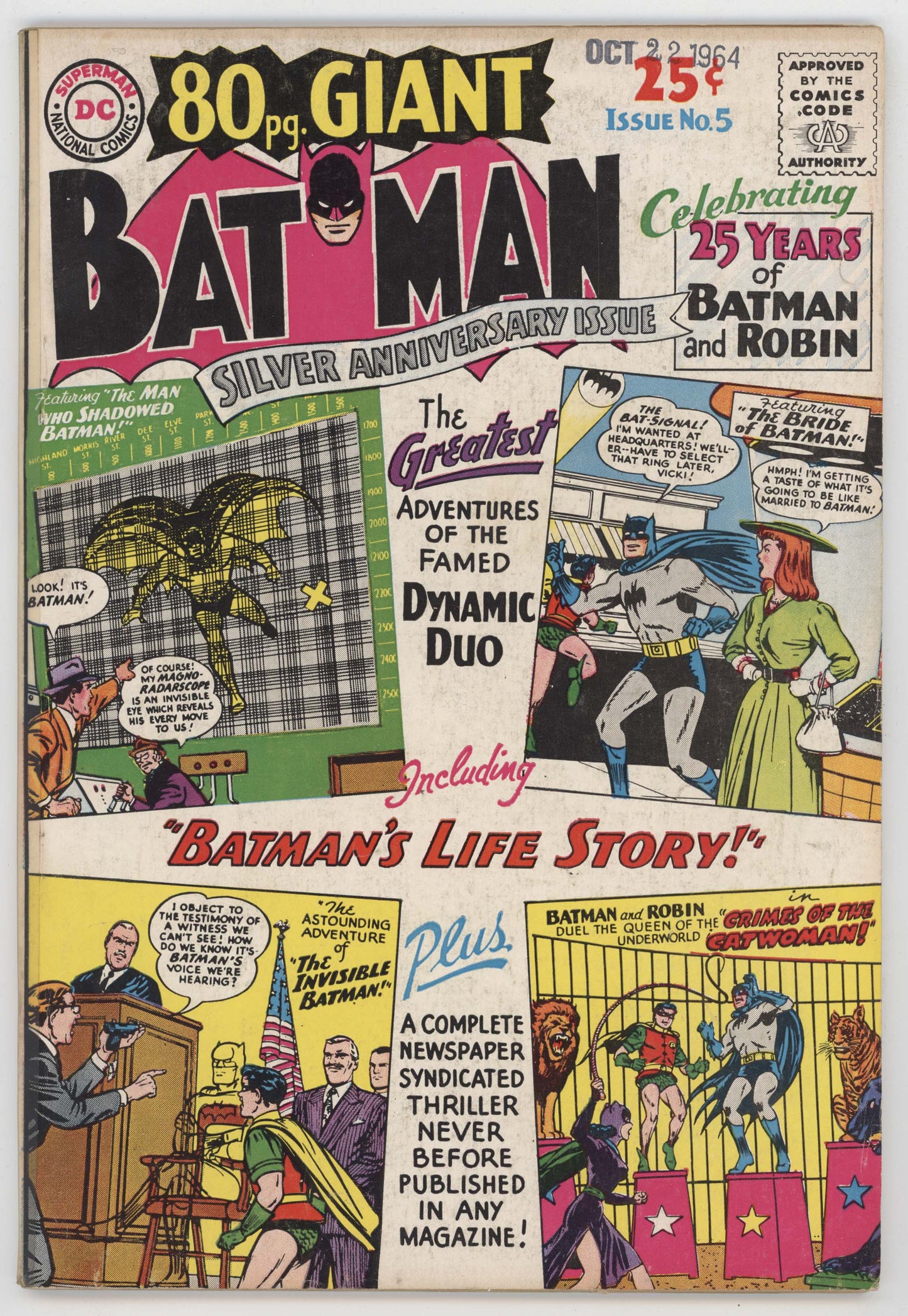 batman and robin comic book page