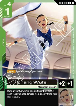 Chang Wufei (GD01-091) - Newtype Rising