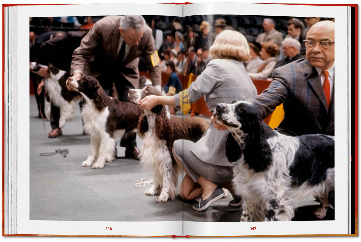 Walter Chandoha. Dogs. Photographs 1941–1991 (English)