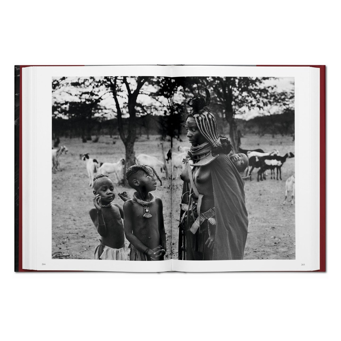 Sebastião Salgado. Genesis (English)