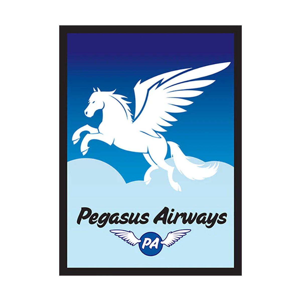 Pegasus Air Sleeve