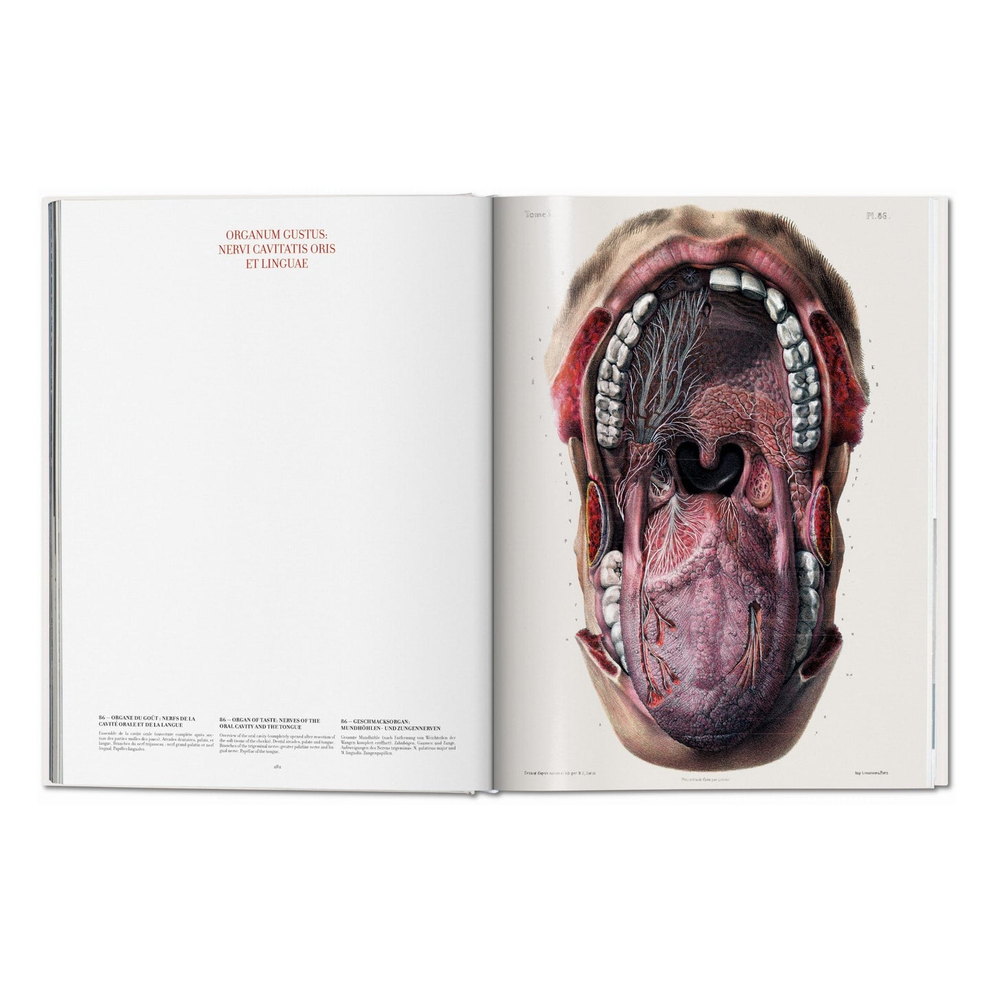 Bourgery. Atlas of Human Anatomy and Surgery (German, French, English)