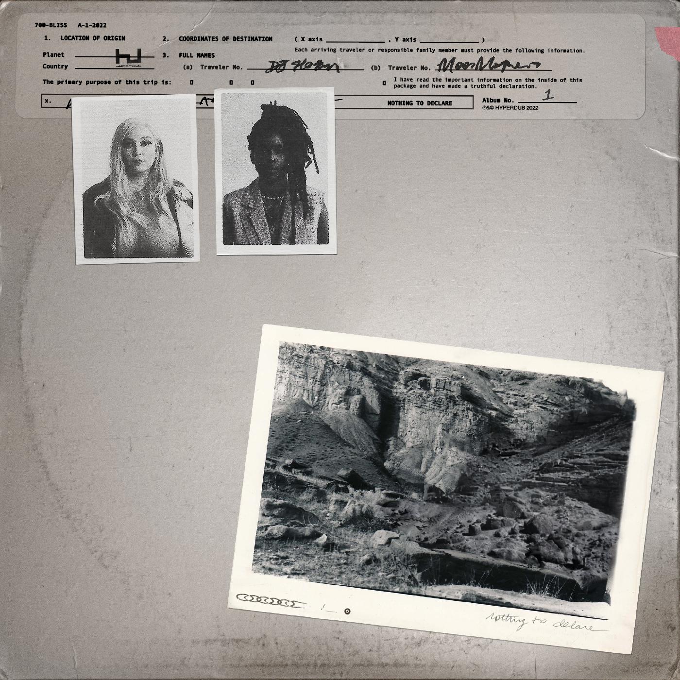 Nothing To Declare (CD)