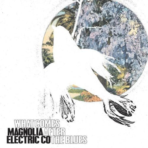 What Comes After the Blues [LP]
