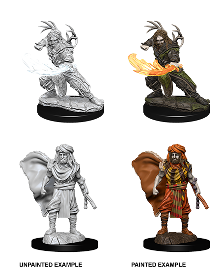 D&D: Nolzur's Marvelous Miniatures - Human Male Druid - Golden Apple Comics