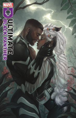 Ultimate Black Panther #23 C 1:25 Meghan Hetrick Variant (12/10/2025) Marvel