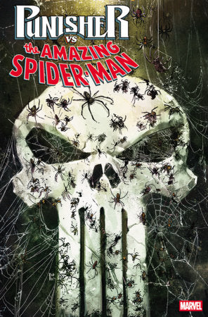 Punisher Vs Spider-Man #2 C Rod Reis (08/19/2026) Marvel