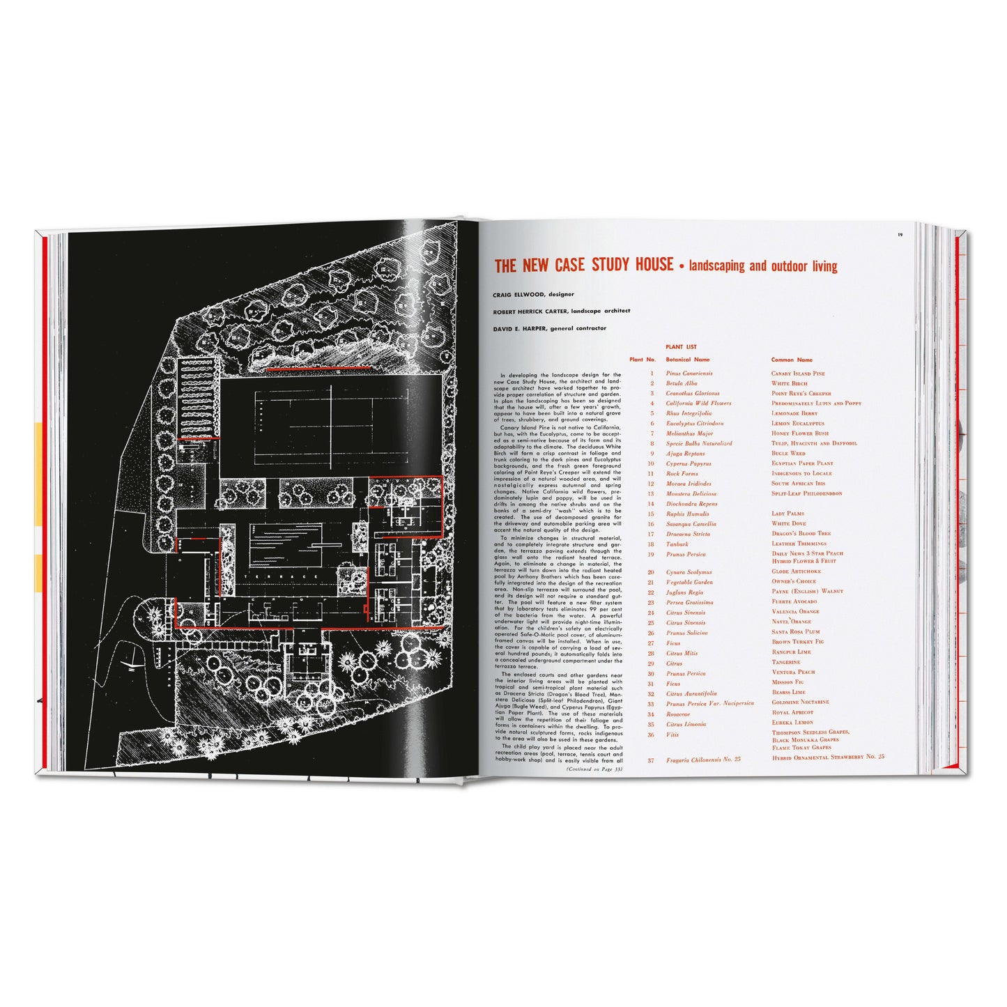 Arts & Architecture 1955–1959 (English)