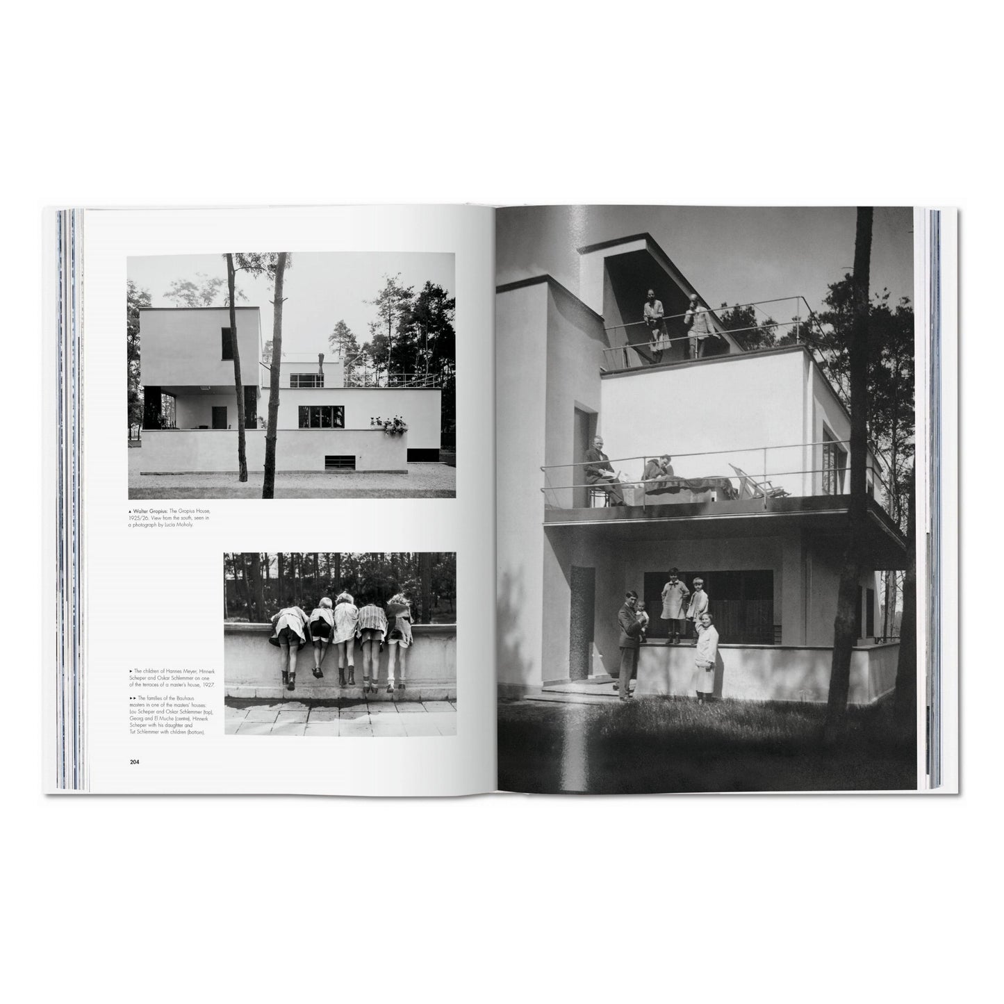 Bauhaus. Updated Edition (English)