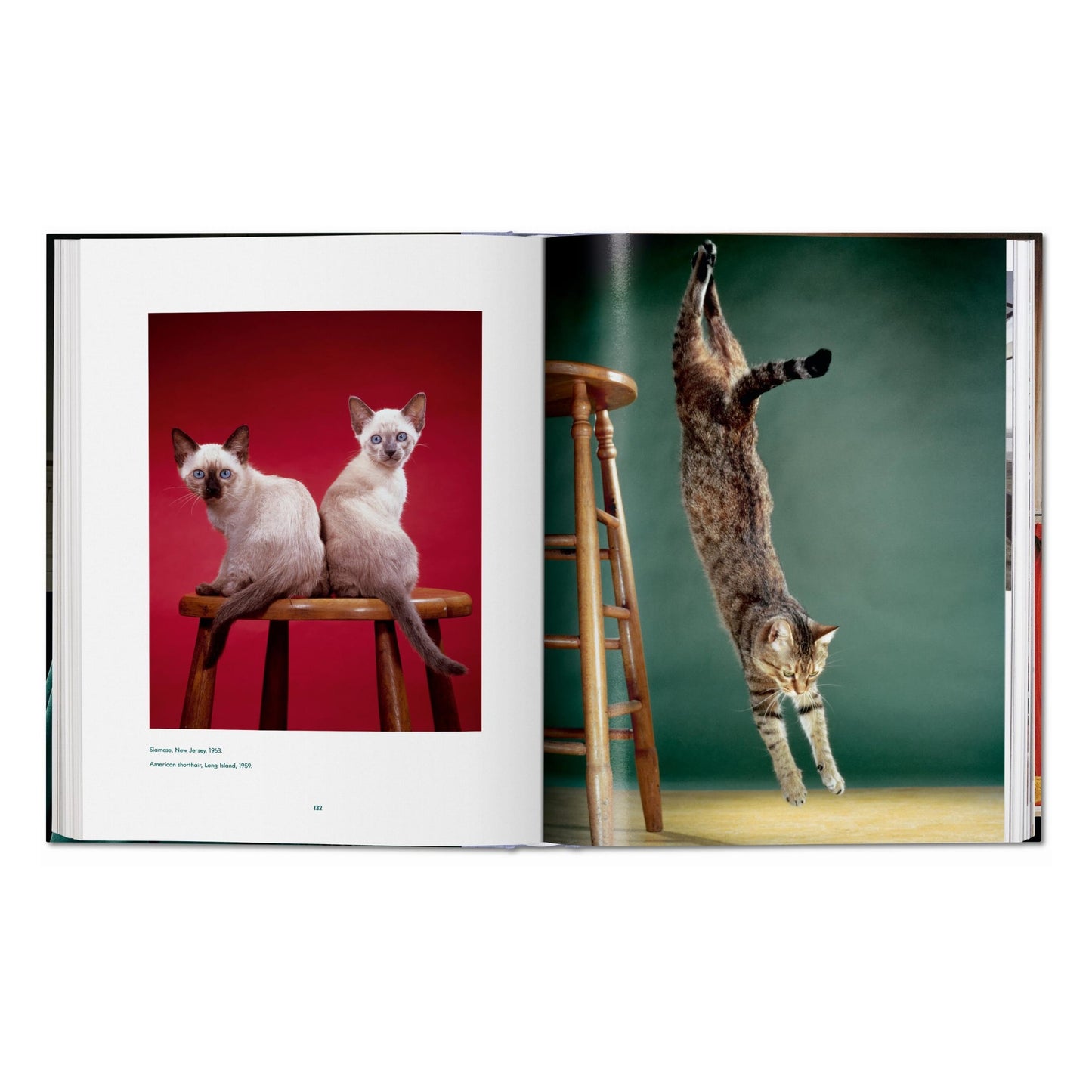 Walter Chandoha. Cats. Photographs 1942–2018 (German, French, English)