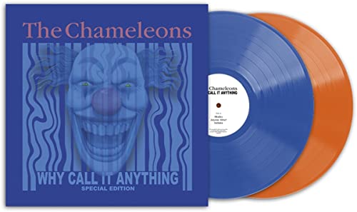 Why Call It Anything (2Lp Coloured Vinyl) (Vinyl)