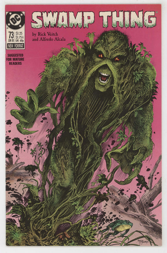 Swamp Thing 73 DC 1988 VG Rick Veitch
