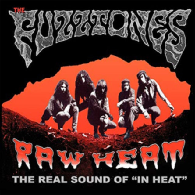 Fuzztones - Raw Heat: The Real Sound Of In Heat - LP Vinyl - Golden Apple Comics