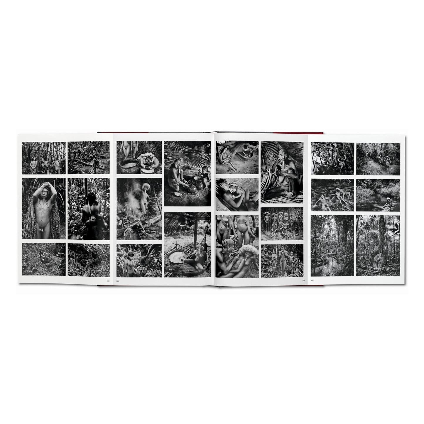 Sebastião Salgado. Genesis (English)