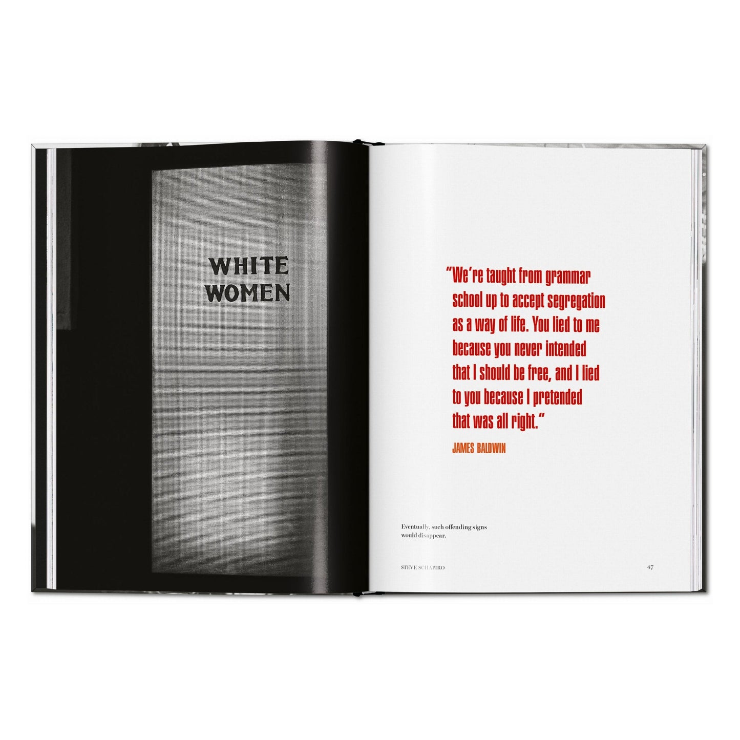 James Baldwin. Steve Schapiro. The Fire Next Time (English)