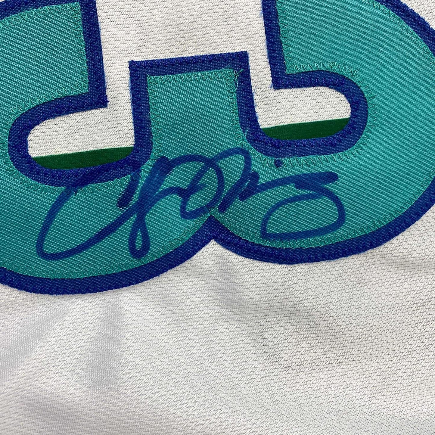 Framed Autographed/Signed Alonzo Mourning 35x39 Charlotte White Basketball Jersey JSA COA