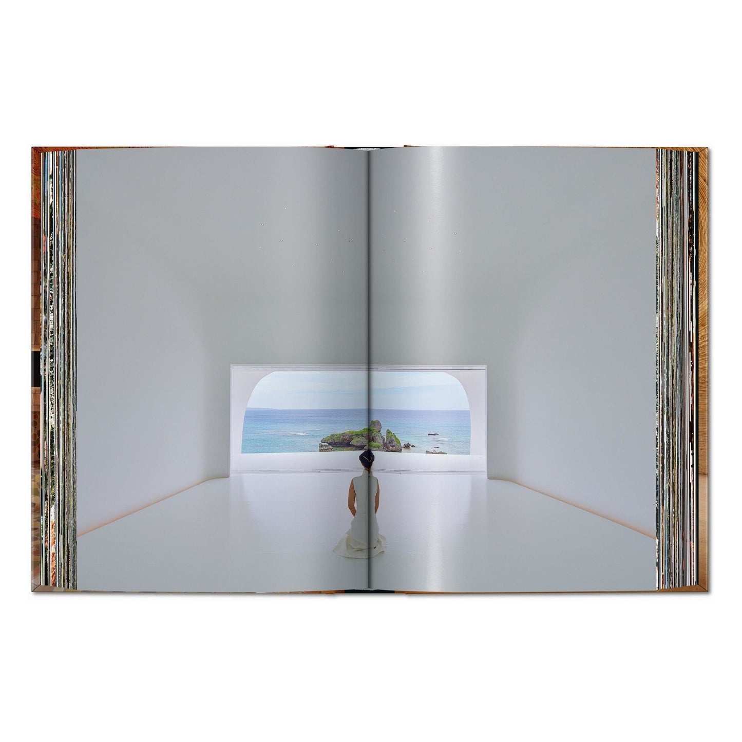Homes For Our Time. Contemporary Houses around the World. Vol. 3 (German, French, English)