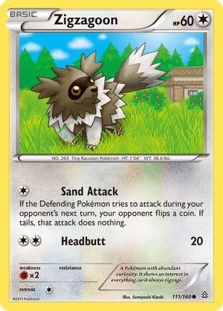 Zigzagoon 111/160 - XY  Primal Clash - Golden Apple Comics