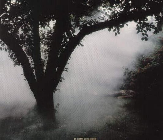 At Home With Owen[ LP]