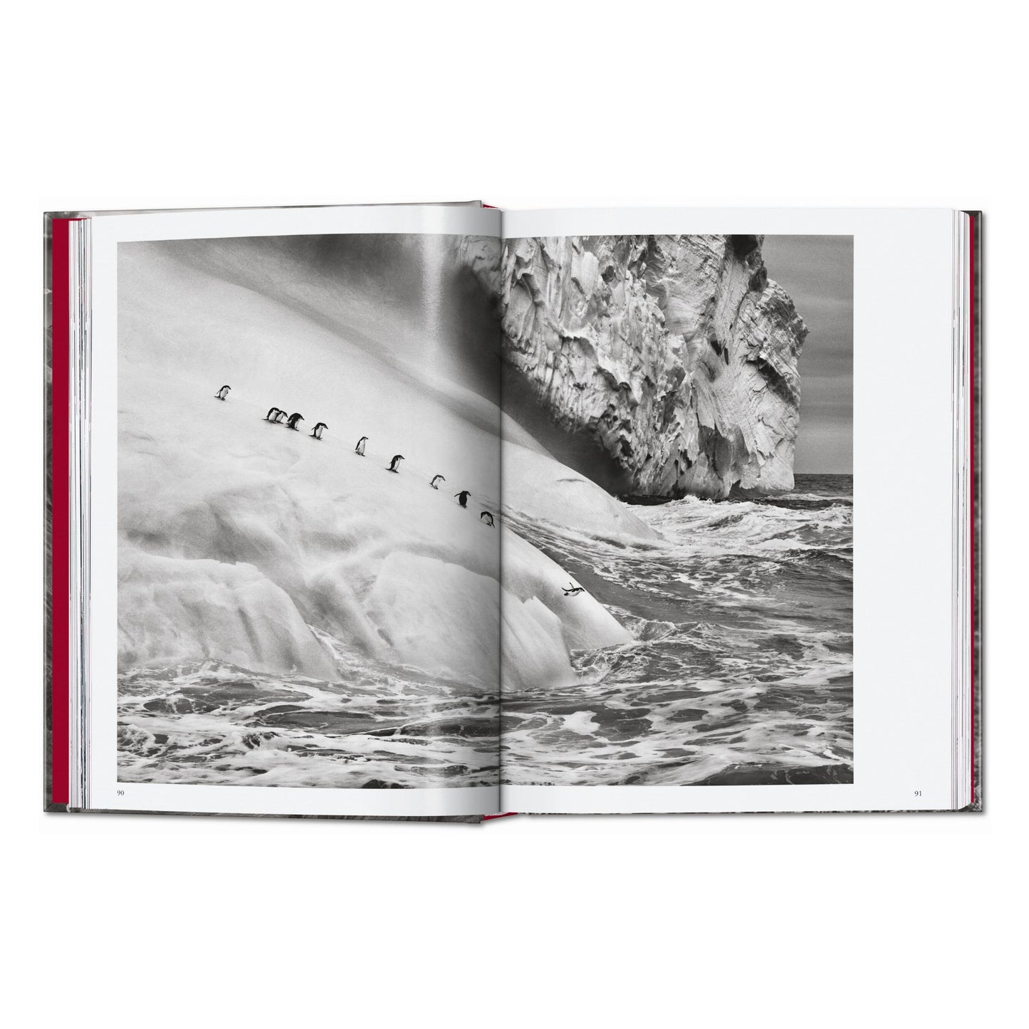 Sebastião Salgado. Genesis. 45th Ed. (English)