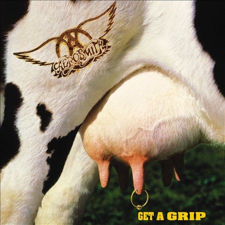 Aerosmith GET A GRIP (2LP) [Vinyl]