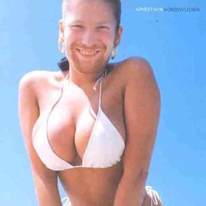 Aphex Twin WINDOWLICKER [Vinyl]