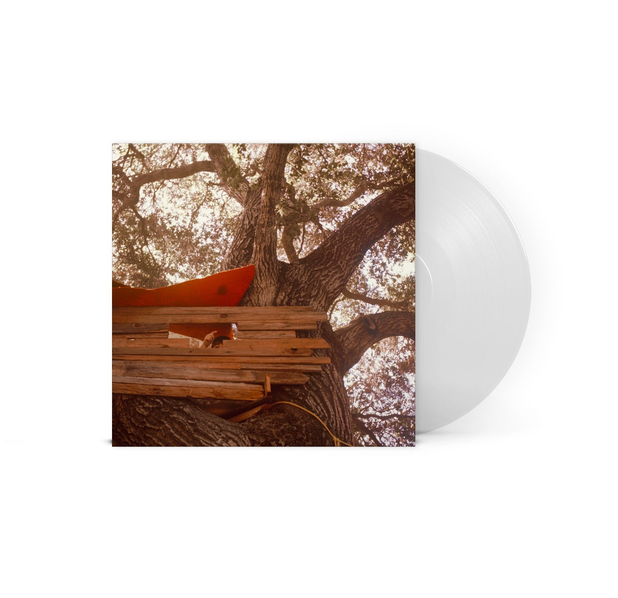 Backseat Lovers Waiting To Spill (Indie Exclusive, Clear Vinyl) [Vinyl]