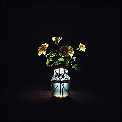 Billy Strings Renewal [2 LP] [Vinyl]